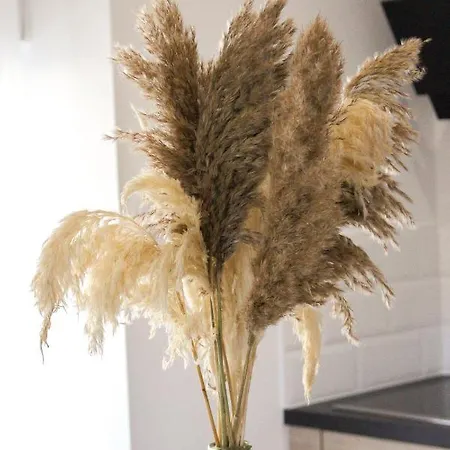 Cosy & Balneo - Centre De Lägenhet *